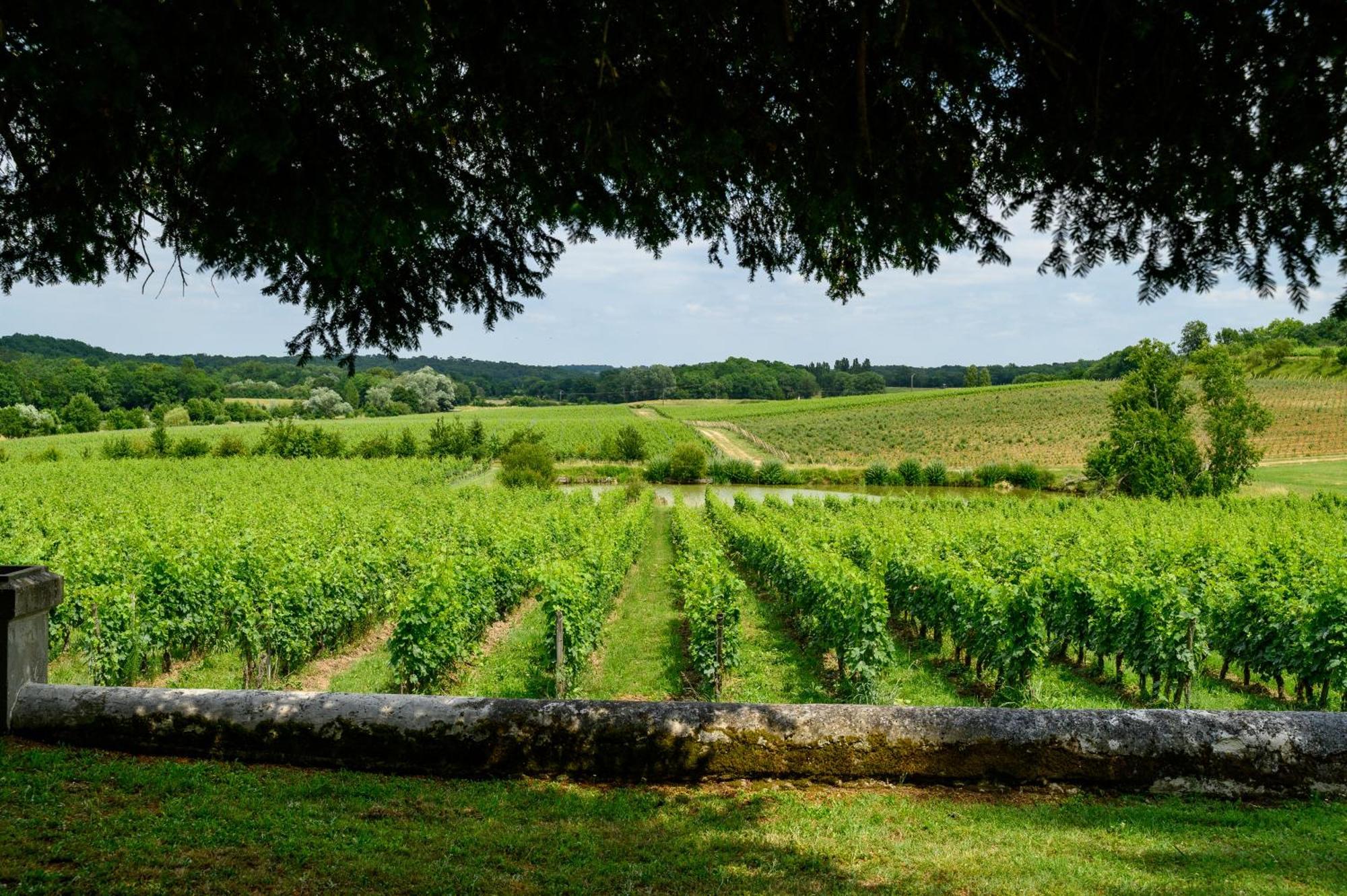 Pey La Tour - Logis Hotels & Restaurant Salleboeuf Kültér fotó
