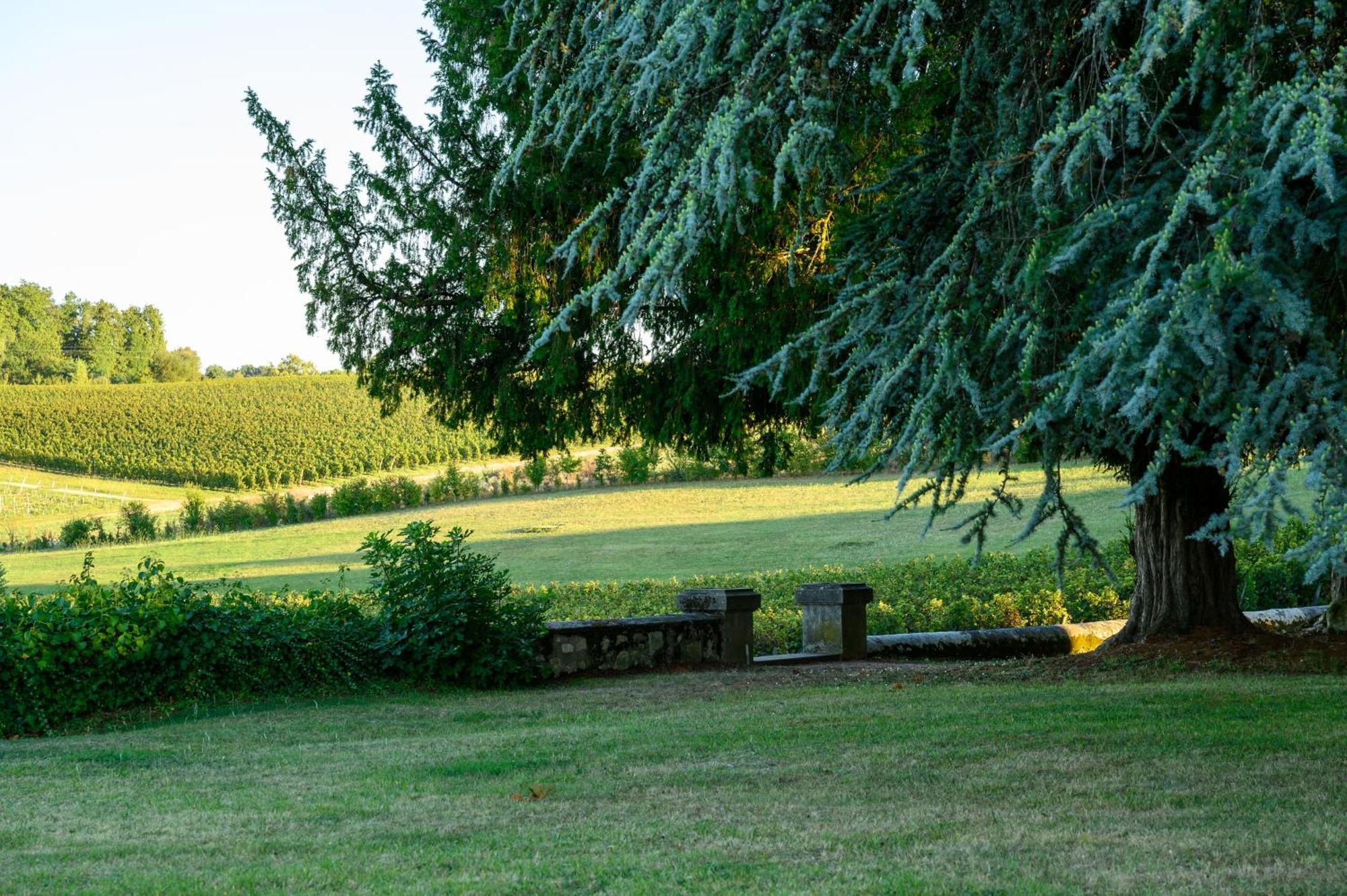 Pey La Tour - Logis Hotels & Restaurant Salleboeuf Kültér fotó